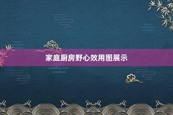 家庭厨房野心效用图展示