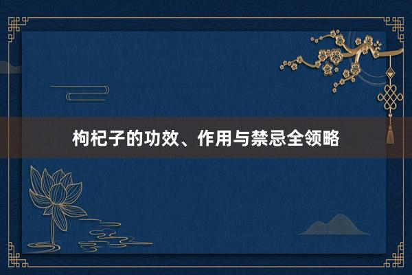 枸杞子的功效、作用与禁忌全领略