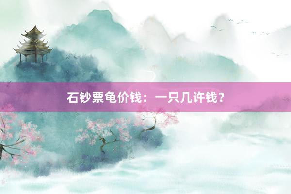石钞票龟价钱：一只几许钱？