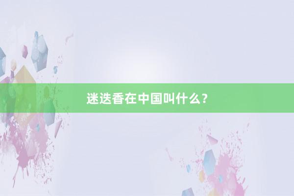 迷迭香在中国叫什么？