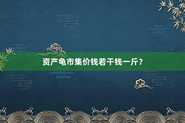 资产龟市集价钱若干钱一斤?